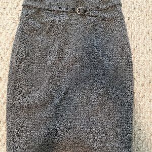 Express skirt. Never worn.